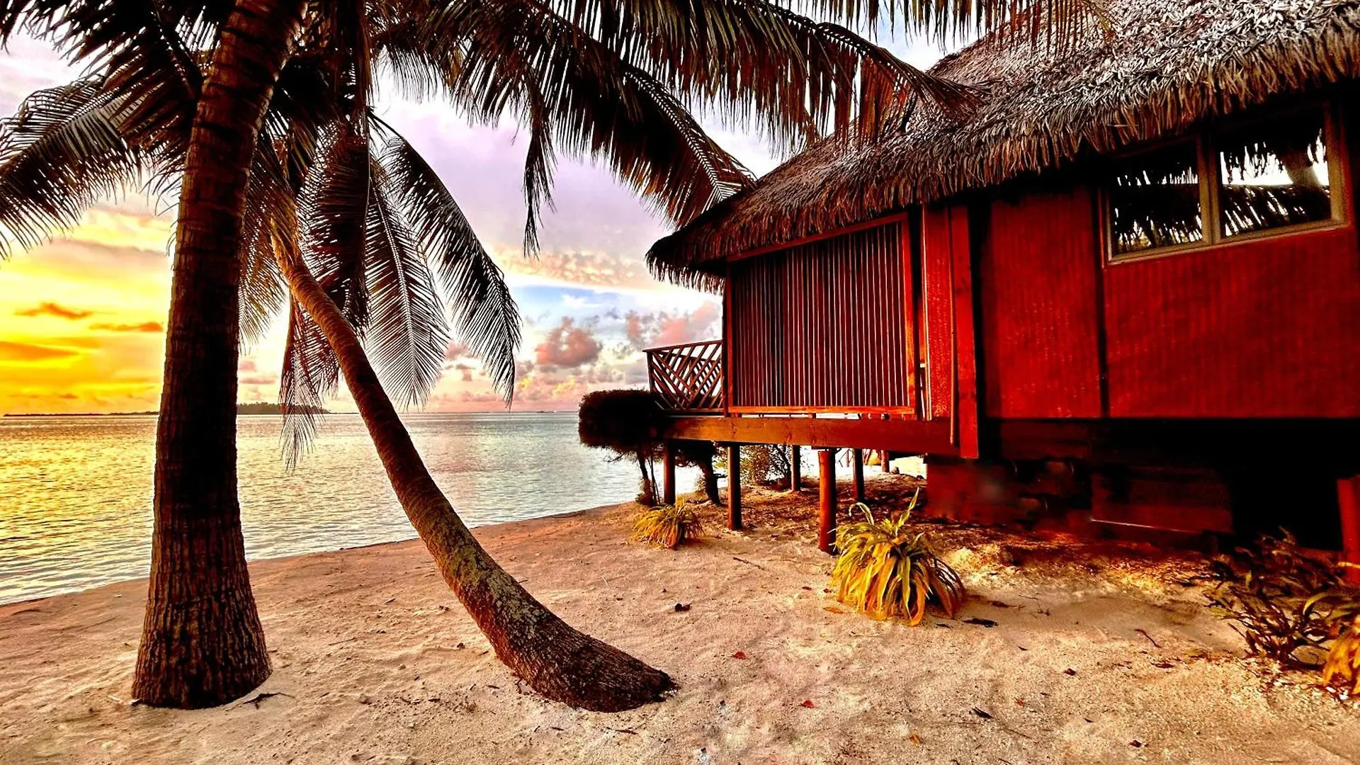 Hotel Eden Private Island Tahaa Patio